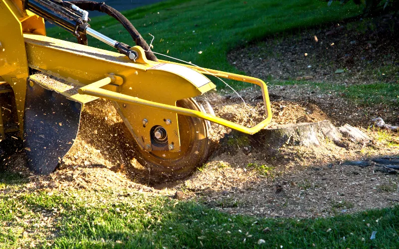 stump grinding in Hickory NC