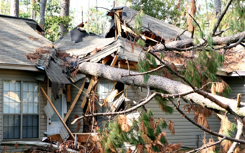 tree storm damage fell on house in Hickory NC